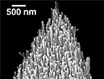 AFM Cantilever with CNT Figure