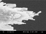 Nickel STM Probe with CNT Picture