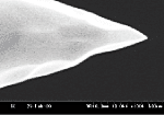 Platiniridium Probes (Electro-polishing) P-100PtIr(S) Picture