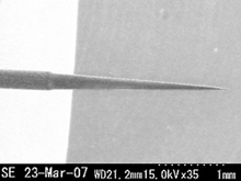 Pratiniridium NanoProbe with the SEM