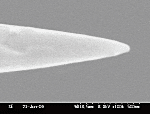 PtIr coating tungsten probe P-100W/PtIr Picture