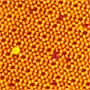 Extreme Physical Fields Scanning Probe Microscope Sample topographic image 1