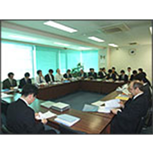 Tokyo Instruments,Inc. (TII)