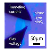 Probing on monolayer MoS2