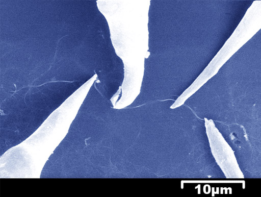 Four probes over carbon nanotube by USM1400-4P
