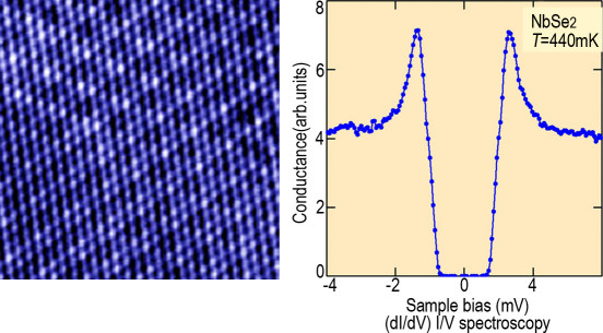 STM Image and STS data of Cleaved NBS2 by USM1300