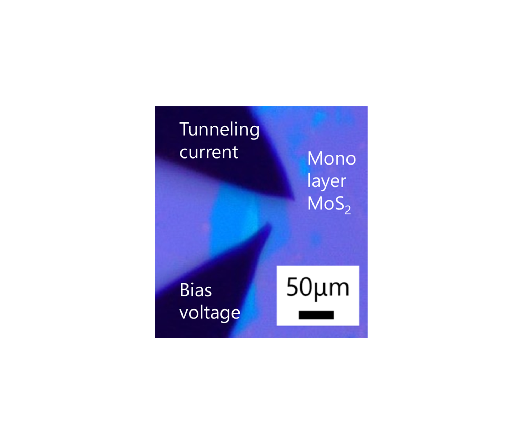 Time-resolved tunneling current of monolayer MoS2 