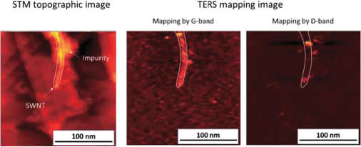 TERS mapping results of Carbon nanotube