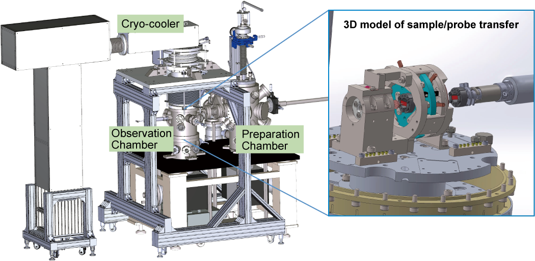 3D model of sample/probe transfer