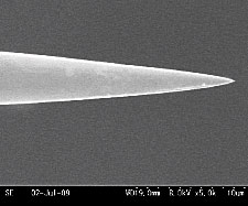 SEM image of Tungsten probe tip